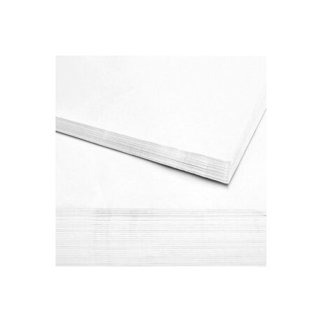 Papel micro color blanco 70 x 95 por pliego