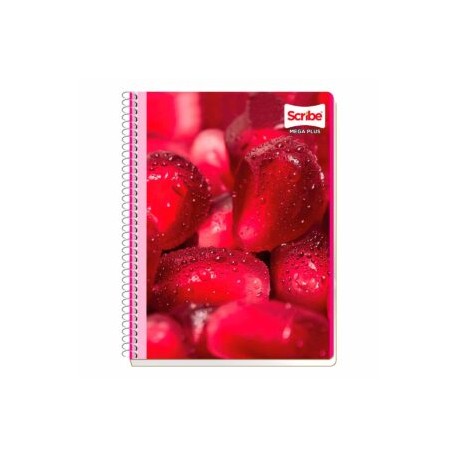 Cuaderno profesional 200 hojas Mega Scribe