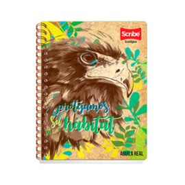 Bolsa p/regalo Mediana, modelos navideños