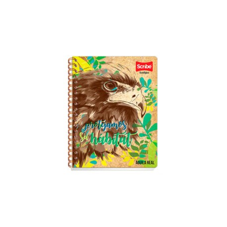 Fantásticos dragones