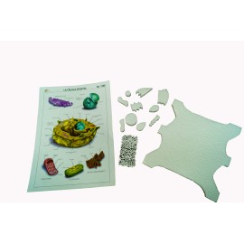 Maqueta de unicel Célula vegetal